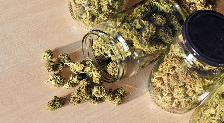 Terpenes are the components in weed that help determine its taste, smell, and, most importantly, overall effect.