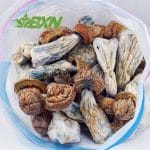 Buy Mushroom - Tidal Wave at BudExpressNOW Online Shop