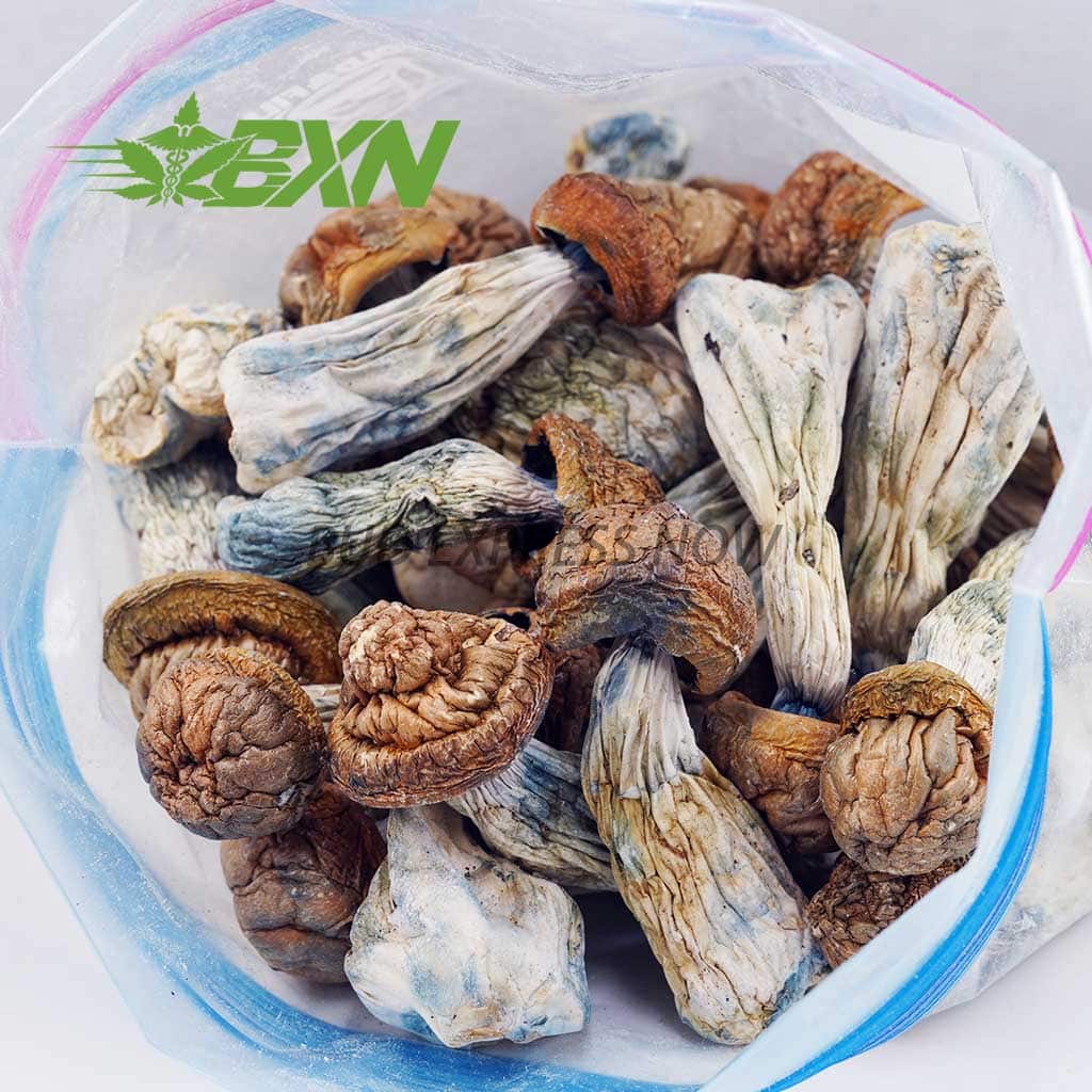 Buy Mushroom - Tidal Wave at BudExpressNOW Online Shop