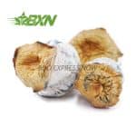 Buy Mushrooms - Avalanche at BudExpressNOW Online Shop