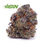 Buy Gorilla Breath AAA at BudExpressNOW Online