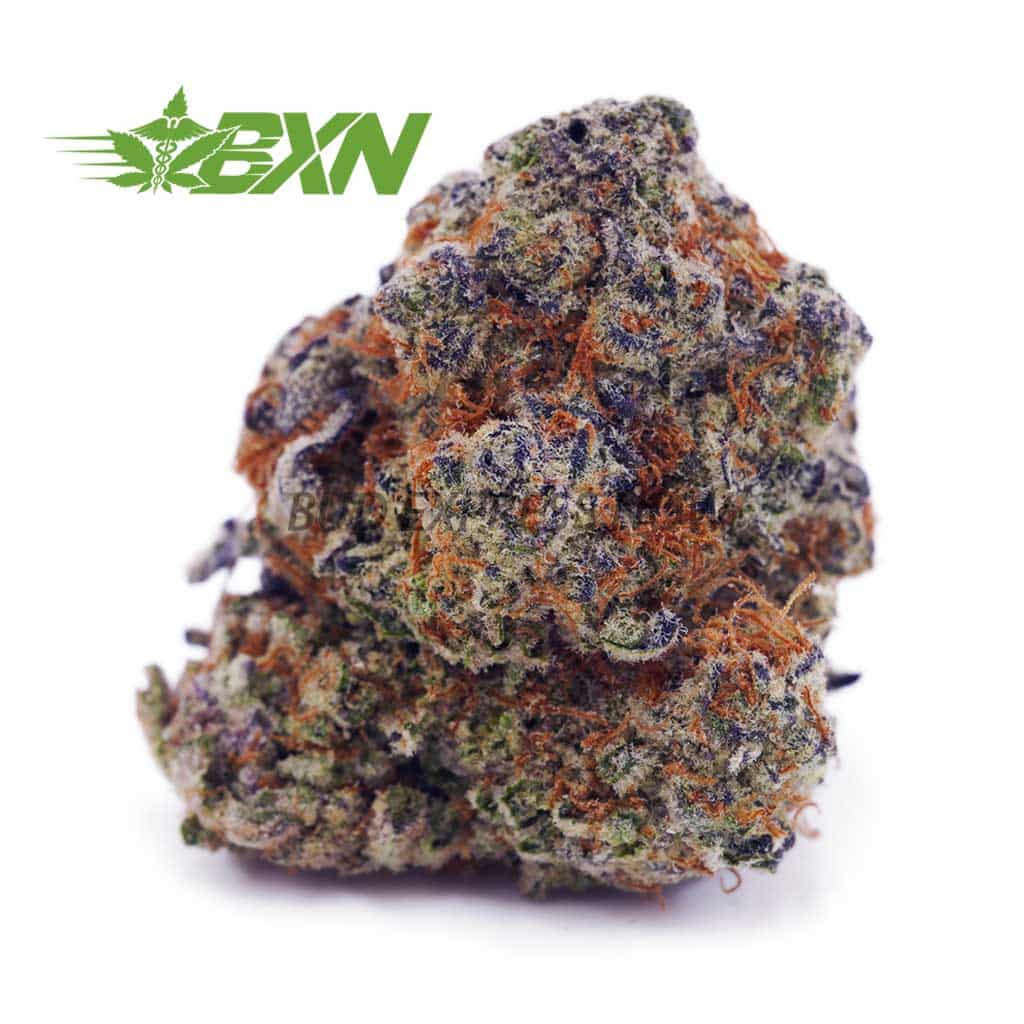 Buy Gorilla Breath AAA at BudExpressNOW Online