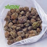 Buy Gorilla Breath AAA at BudExpressNOW Online