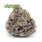 Buy Tropicana AA at BudExpressNOW Online Shop.