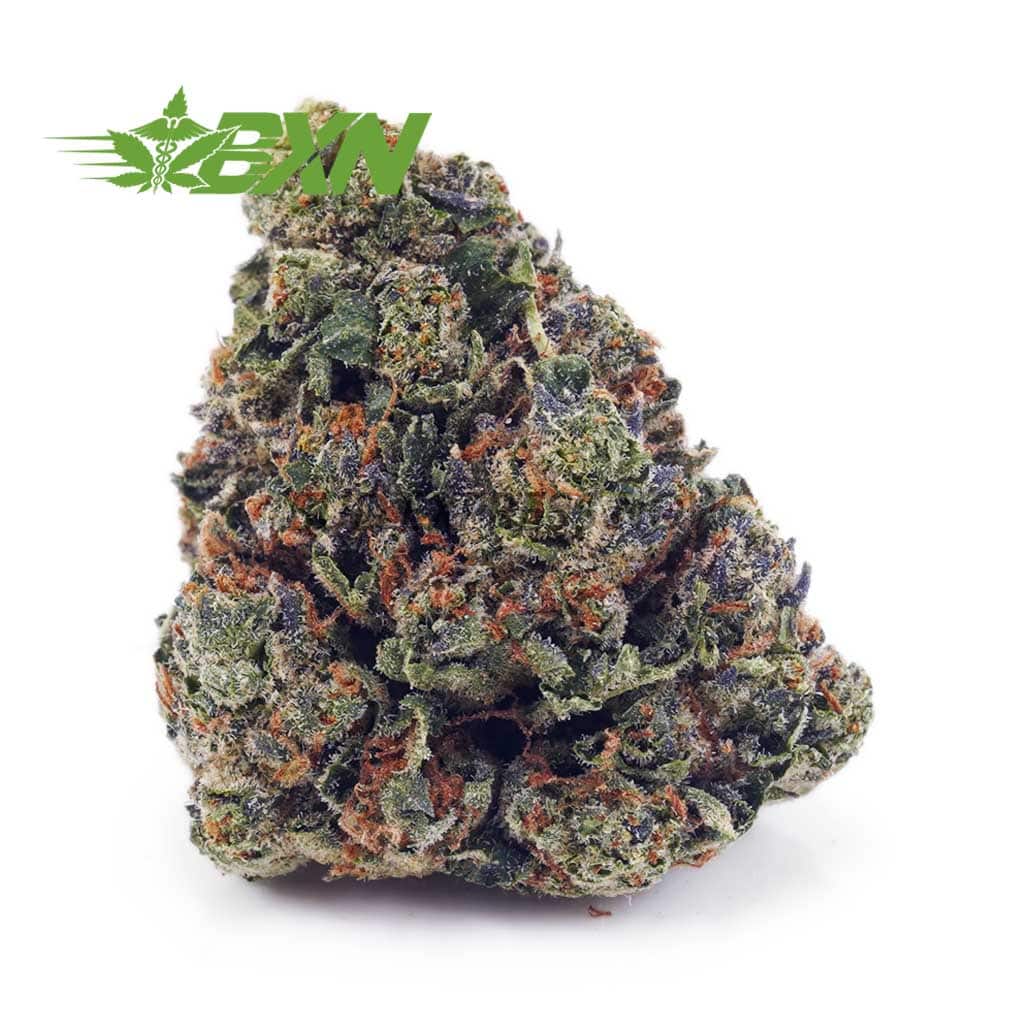 Buy Watermelon Punch  AAAA at BudExpressNOW Online Shop