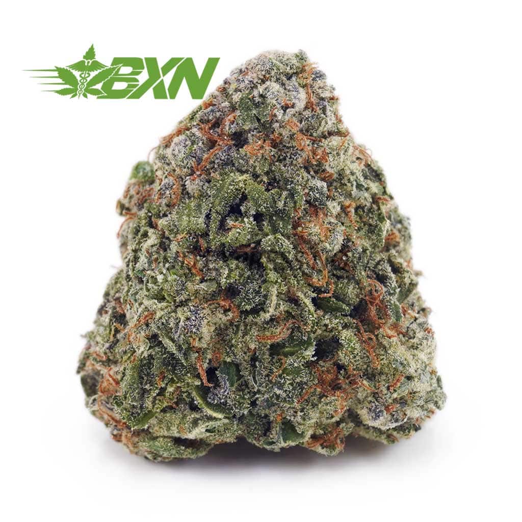 Buy Atomic Northern Lights AAA at BudExpressNOW Online Shop.