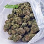 Buy Atomic Northern Lights AAA at BudExpressNOW Online Shop.