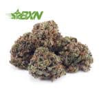 Buy Purple Thunder AAAA (Popcorn) at BudExpressNOW Online Shop