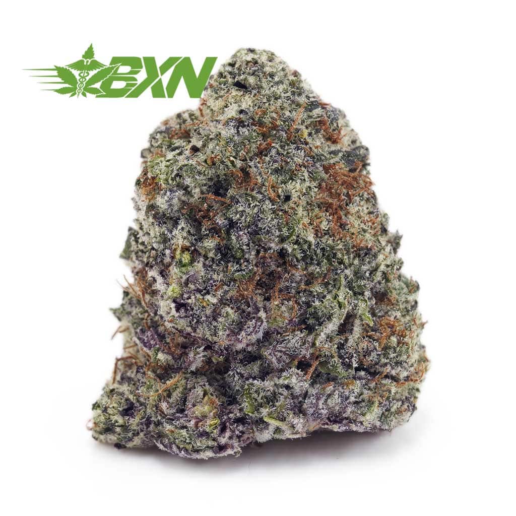 Buy Green Congo AAA at BudExpressNOW Online