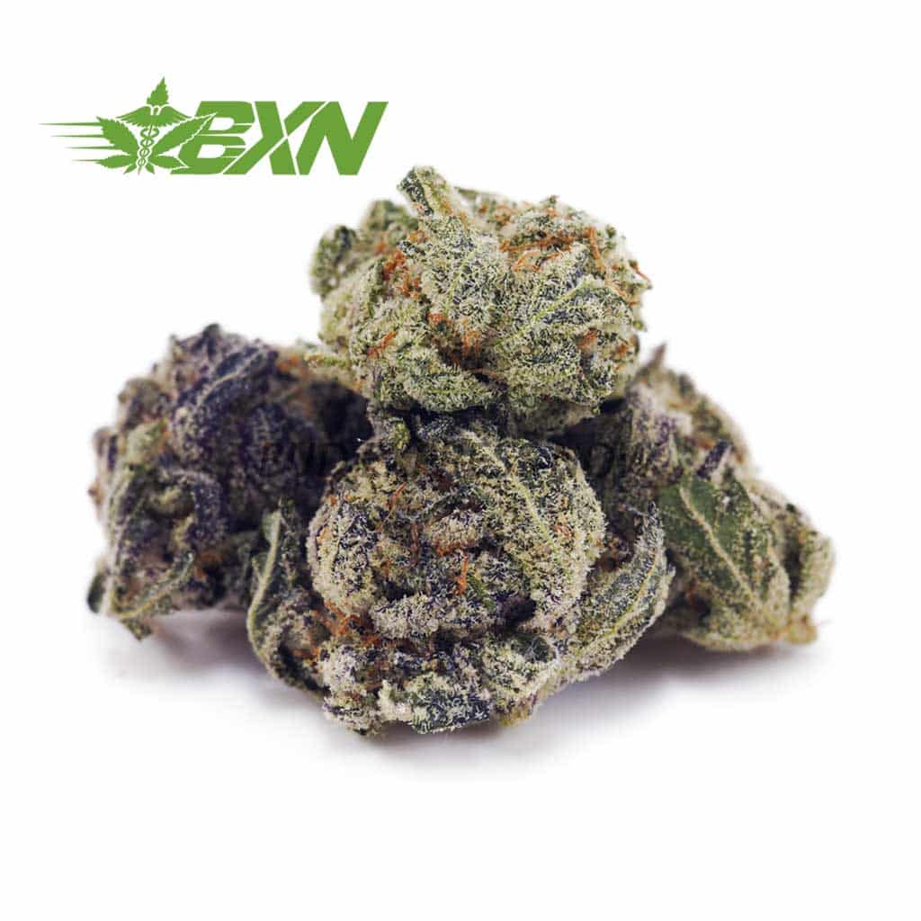 Buy Lemon Pop AAAA (Popcorn) at BudExpressNOW Online Shop