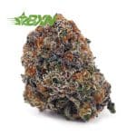 Buy Alien Dawg AAA at BudExpressNOW Online Shop