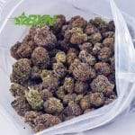 Buy Alien Dawg AAA at BudExpressNOW Online Shop