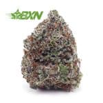 Buy Blueberry Pie AAA at BudExpressNOW Online Shop