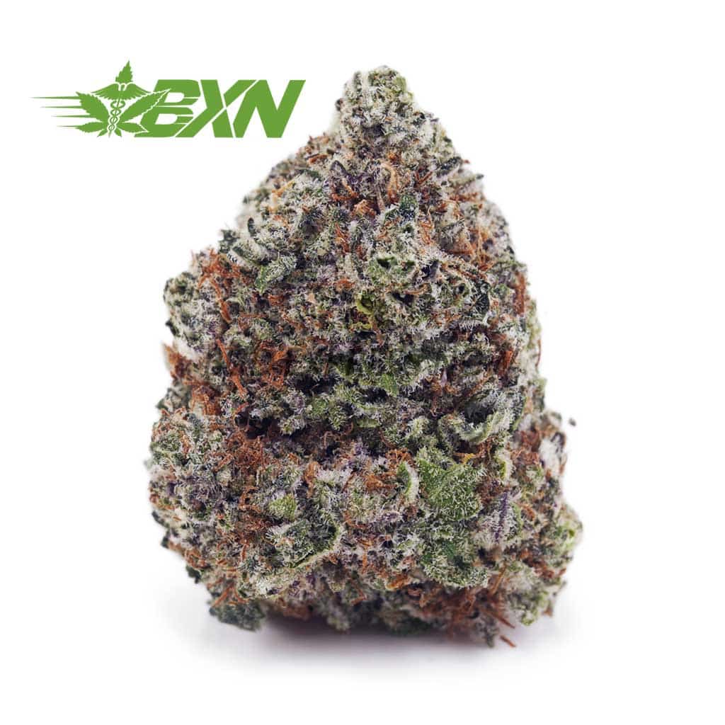 Buy Blueberry Pie AAA at BudExpressNOW Online Shop