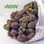 Buy Permanent Marker AAA at BudExpressNOW Online.