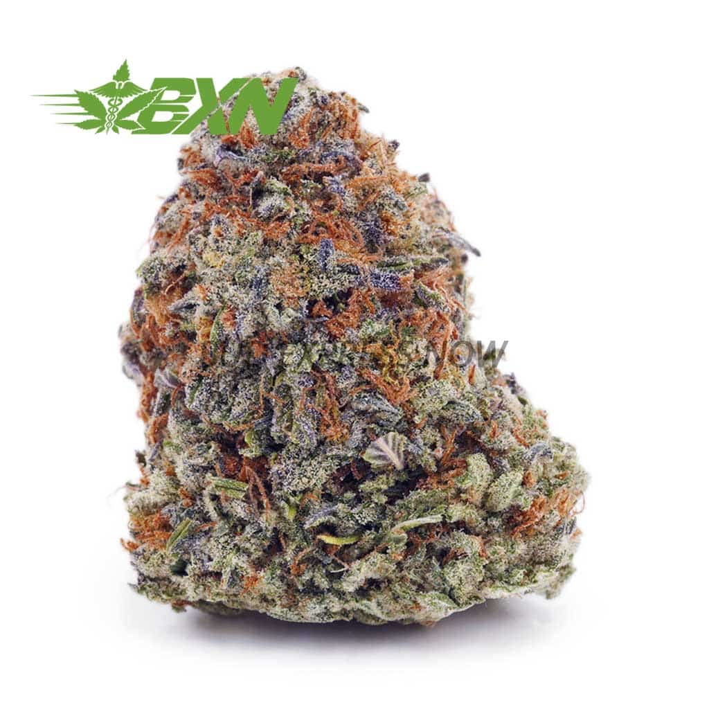 D677A1-GELATO#33-BXN Buy Gelato #33 AAA at BudExpressNOW Online Shop