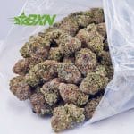 Buy Gelato #33 AAA at BudExpressNOW Online Shop