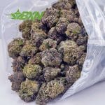 Buy Tangie AAAA at BudExpressNOW Online shop