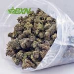 Buy Platinum Bubba (Craft) at BudExpressNOW Online