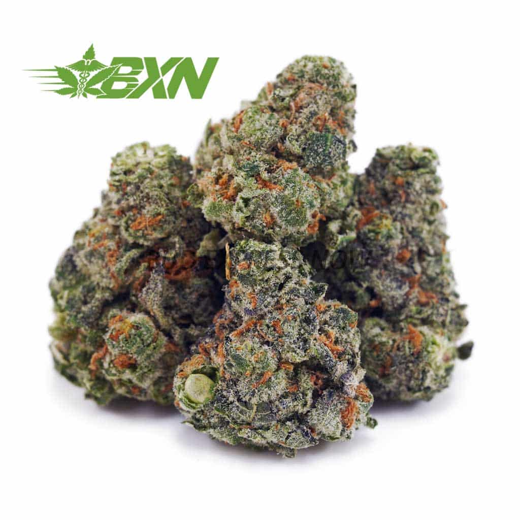 D692A1-PASSIONFRUITLEMONADE-BXN Buy Passion Fruit Lemonade AAAA (Popcorn) at BudExpressNOW Online shop