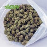 Buy Passion Fruit Lemonade AAAA (Popcorn) at BudExpressNOW Online shop