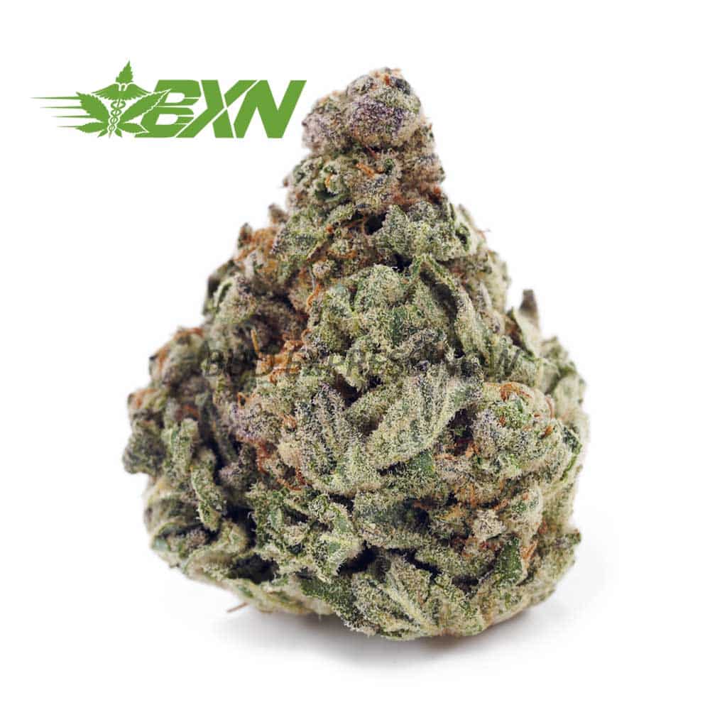 Buy Khalifa Cookies AAAA (Popcorn) at BudExpressNOW Online Shop