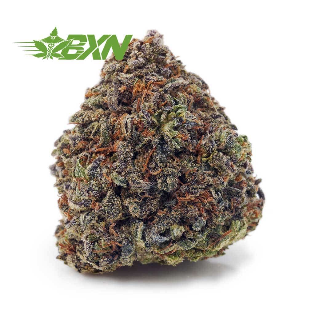 Buy Mimosa AA at BudExpressNOW Online.