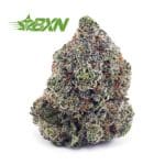 Buy Kush Berry AAAA at BudExpressNOW Online Shop