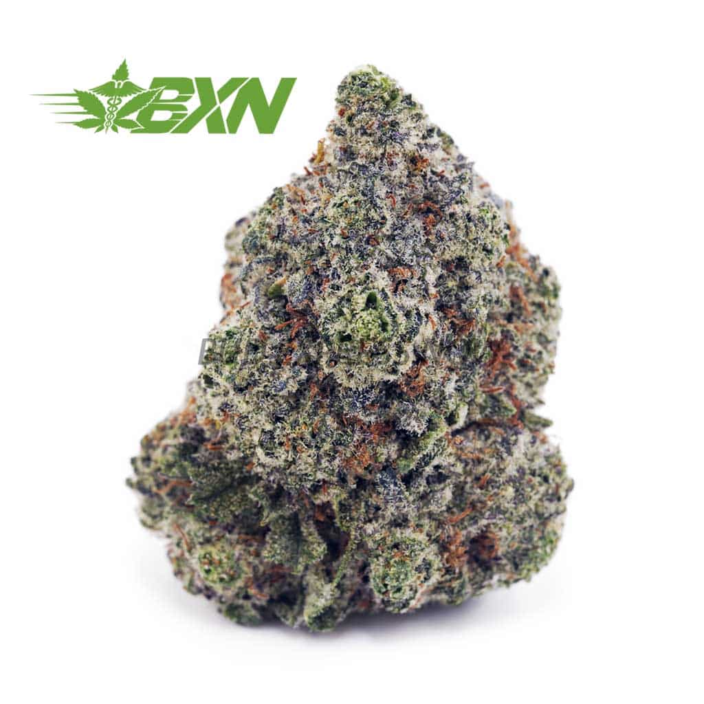 Buy Kush Berry AAAA at BudExpressNOW Online Shop