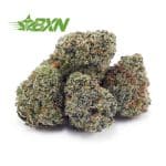 Buy Berry Gelato AAAA (Popcorn) at BudExpressNOW Online Shop.