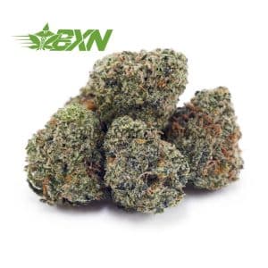Buy Berry Gelato AAAA (Popcorn) at BudExpressNOW Online Shop.