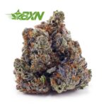 Buy OG Octane (Craft) at BudExpressNOW Online Shop