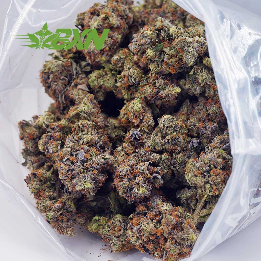 DA OGOCTANE BXN DA OGOCTANE BXN