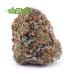 Buy White Biscotti AA at BudExpressNOW Online Shop.