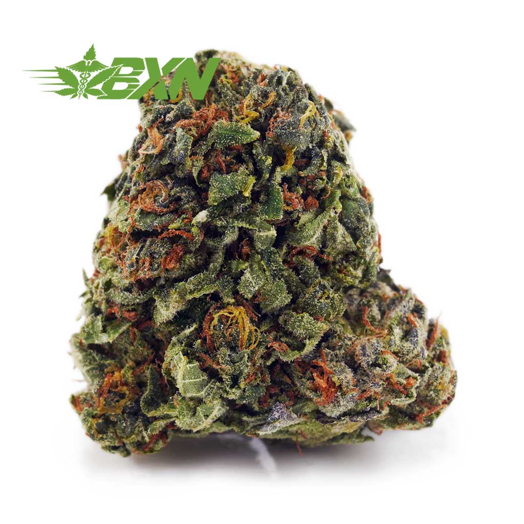 Buy Durban Poison AAA at BudExpressNOW Online.