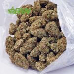 Buy Green Crack AAA at BudExpressNOW Online Shop