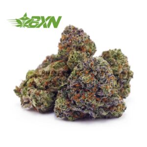 Buy GMO Cookies AAAA (Popcorn) at BudExpressNOW Online Shop