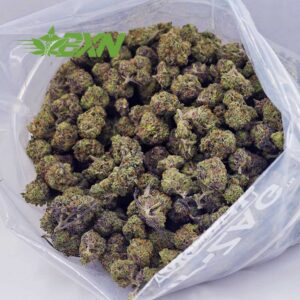 Buy GMO Cookies AAAA (Popcorn) at BudExpressNOW Online Shop