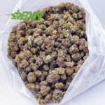 Buy Guava Cookies AAAA (Popcorn) at BudExpressNOW Online Shop