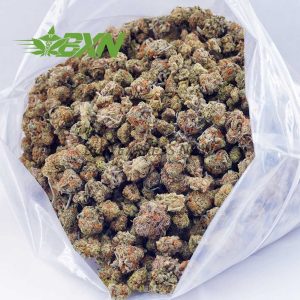 Buy Guava Cookies AAAA (Popcorn) at BudExpressNOW Online Shop