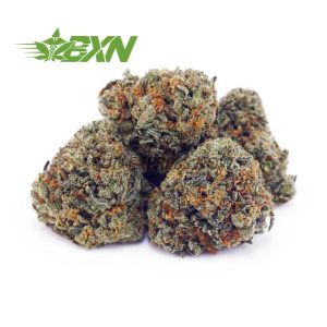 Buy Cookie Monster AAAA (Popcorn) at BudExpressNOW Online Shop