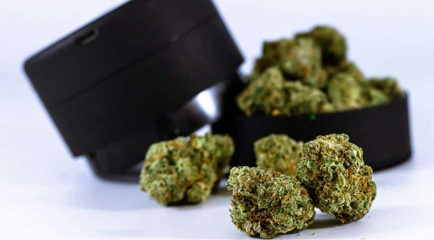 Sativa originally comes from warmer climates, such as Central America, Africa and Southeast Asia.