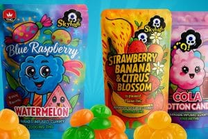 buy sky high edibles online