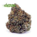Buy White Skunk AAAA at BudExpressNOW Online Shop