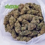 Buy White Skunk AAAA at BudExpressNOW Online Shop