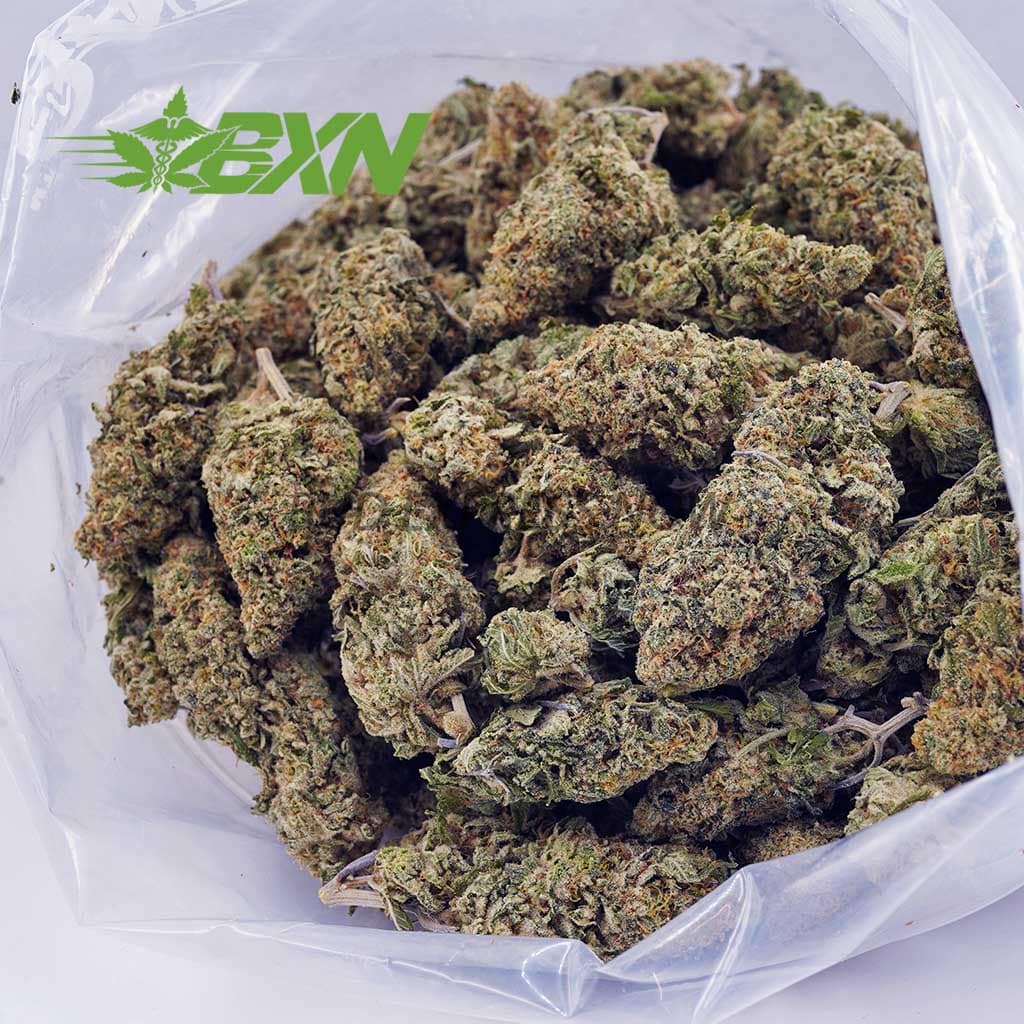 Buy White Skunk AAAA at BudExpressNOW Online Shop