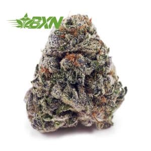 Buy Blueberry Punch AAAA at BudExpressNOW Online Shop