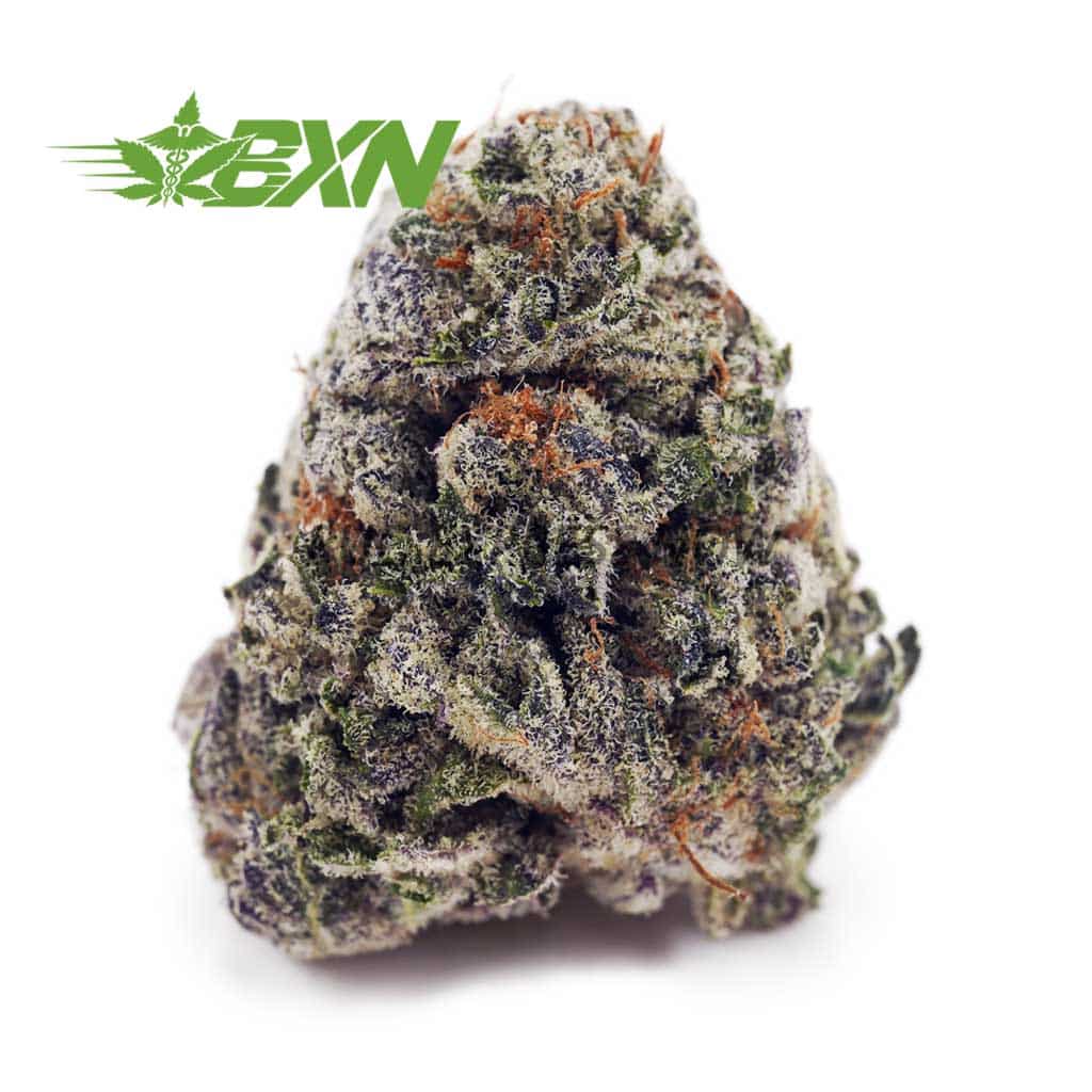 Buy Blueberry Punch AAAA at BudExpressNOW Online Shop