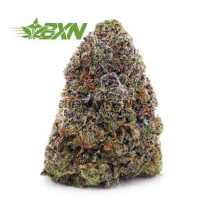 Buy Gorilla Goo AAAA at BudExpressNOW Online shop