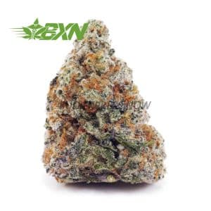 Buy Winter Berry AAAA at BudExpressNOW Online